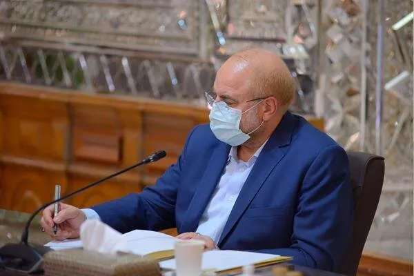 واکنش رئیس مجلس به اهانت به آیت‌الله العظمی صافی گلپایگانی