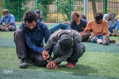 طرح جمع‌آوری معتادان متجاهر