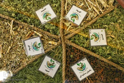 باغ موزه گیاهان دارویی و معطر زنجان