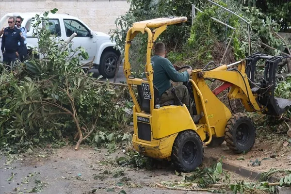 Siyonist Rejim güçleri, Batı Şeria’da binlerce ağacı itlaf etti