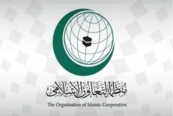 OIC Ta Gudanar Da Zama Kan Halin Da Musulmin Rohingya Suke Ciki
