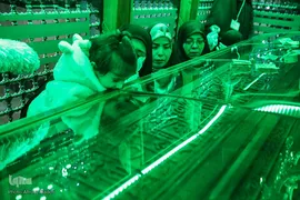 مراسم غبارروبی حرم حضرت عبدالعظیم در ایام شهادت حضرت زهرا (س)