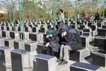 پنجشنبه آخر سال در باغ بهشت همدان‎