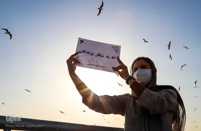 پرندگان مهاجر کارون