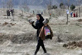آیین درختکاری در پارک جنگلی  سد«لتیان» در شمال شرق استان تهران