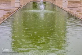 باران بهاری در مسجد تاریخی وکیل شیراز‎‎