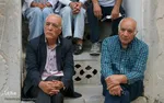 شب جلال الدین همایی‎‎