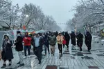 جشن مهمانی ۱۵ کیلومتری میلاد منجی (عج) در همدان‎