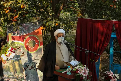 چهارمین جشنواره خرمالوی کن