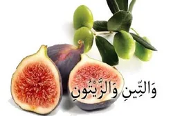 Allah ya rantse da ɓaure da zaitun