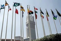 OIC Holds Emergency Meeting on Israeli War on Palestine