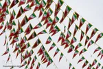 مراسم گرامیداشت ۲۲ بهمن - کرج