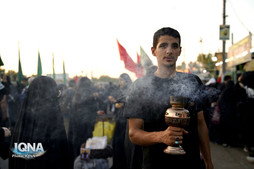 Consultations with Iraq to Facilitate Next Year's Arbaeen Procession Begin: Official