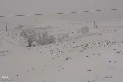بارش برف بهاری در ارتفاعات روستایی اهر