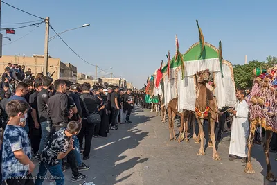 آئین نمادین ورود قافله امام حسین(ع) به دشت کربلا
