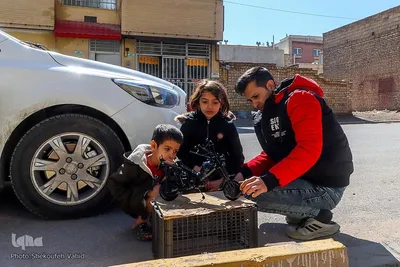 دنیایی از هنر و زیبایی در سر انگشتان یک جوشکار