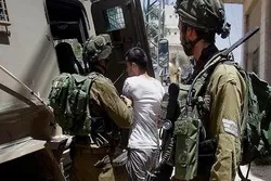 Zionistische Streitkräfte nehmen Dutzende Palästinenser fest