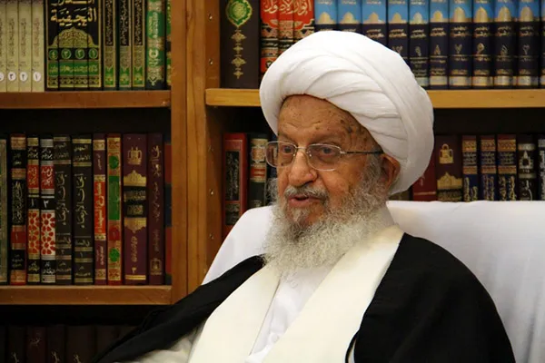 عاقلانه به مکتب اهل بیت(ع) خدمت کنیم