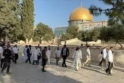 Un nombre record de sionistes ont profané Al-Aqsa en 2022