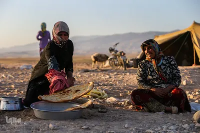 زندگی عشایری