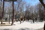 بازدید گردشگران نوروزی از مراکز دیدنی شهرستان اهر