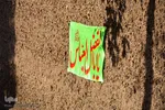 آئین سنتی«علم‌بندان» - محلات/عکاس:محمد رجبی