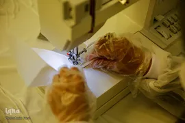 حرم شاهچراغ باز شد!