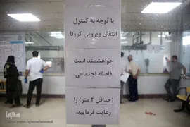 بازار عرضه دام سبک «آزادگان» شهرداری تهران در عید سعید قربان