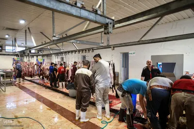 خرید و ذبح دام عید قربان در تهران