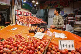 تا پای جان برای ایران اسلامی