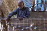 بوریا بافی در زرقان استان فارس
