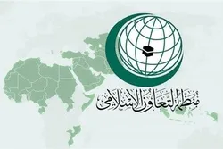 او آئی سی نے روهینگیا کے حوالے سے قرار داد کو خوش آیند قرار دیا