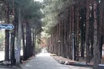 بیرجند پس از باران