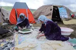سی‌ویکمین جشنواره فرهنگی‌ ورزشی عشایر آذربایجان‌ شرقی
