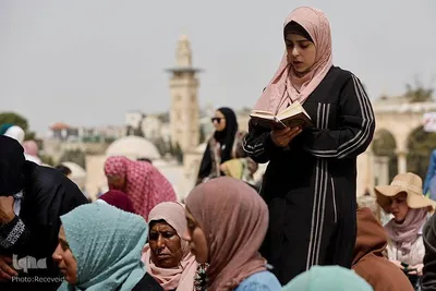 Occupied Palestine