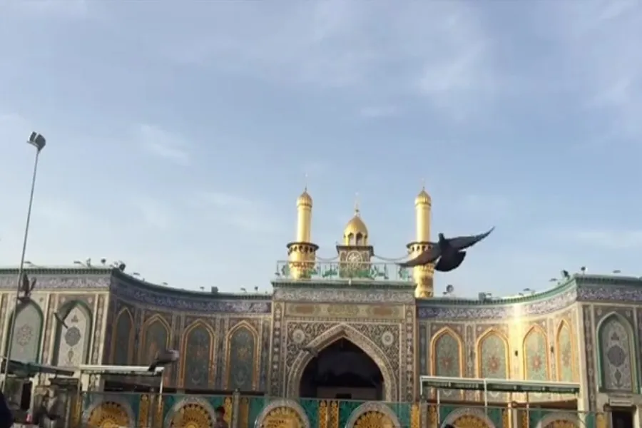 فیلم | کربلای معلی در روز ولادت امام حسین(ع)