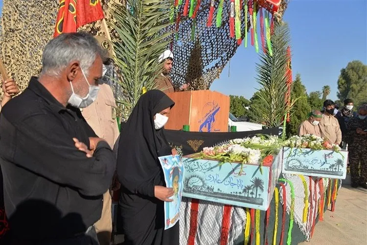 رجوع عاشقانه پرستو‌ها به وطن پس از ۳۲ سال فراق