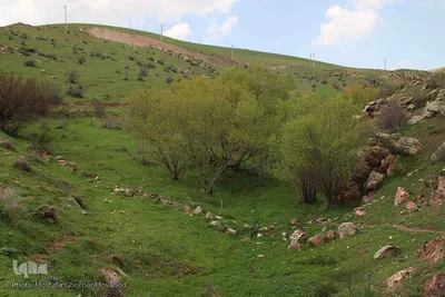 منطقه گردشگری "یوزباشلو" و قلعه "قراچه جالو "در اهر