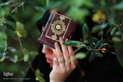 شب 23 ماه مبارک رمضان در گلزار شهدای قم