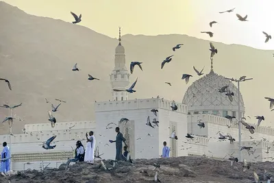 منطقه شهدای احد در مدینه منوره