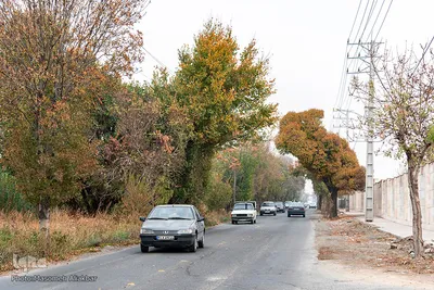 گردش پاییزی در شهر کرج