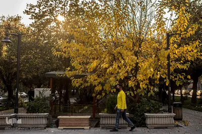 خوب است پاییز را باور کنیم و اگر در کوچه های شهر قدم می زنیم، رنگ طبیعت در قلب و جان بیفزاییم.