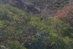طبیعت زیبای پاییزی رشته کوه‌های جنوبی اهر