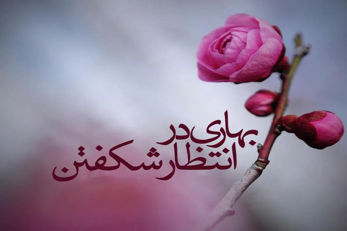 مراتب انتظار فرج امام زمان(عج) چیست