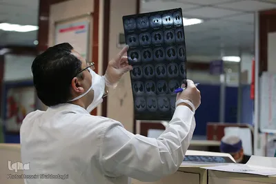 فداکاران سپیدپوش