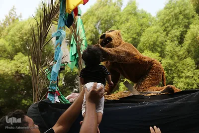 عزاداری ظهر عاشورا در بندرعباس