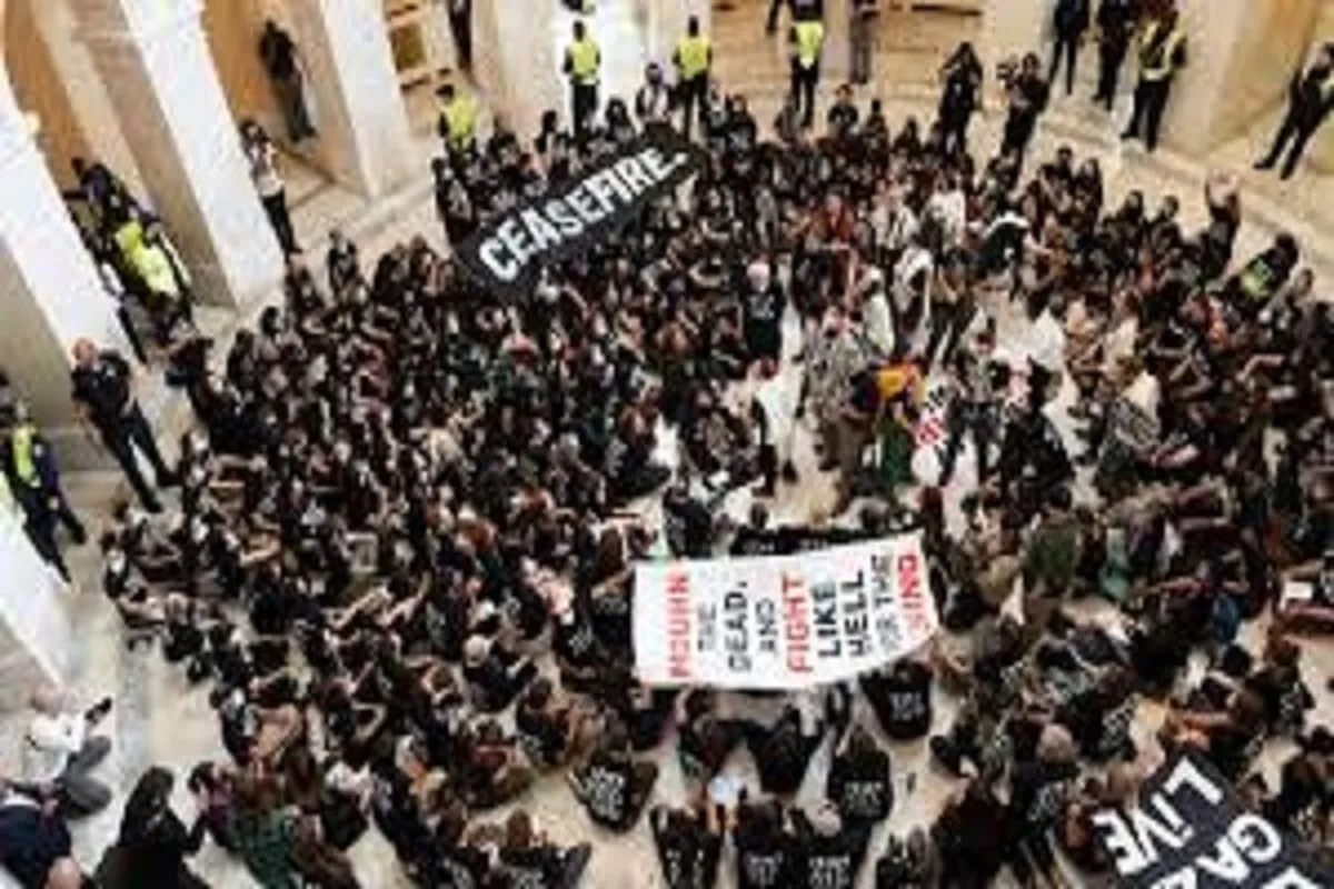 Les manifestants pro-palestiniens occupent le congrès américain