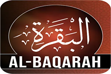 Bəqərə surəsi: İslamın hərtərəfli dini prinsipləri və əməli məsələləri