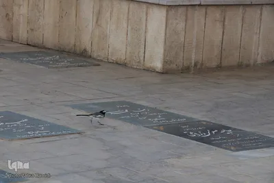 خفته در خاک؛ زنده در افلاک