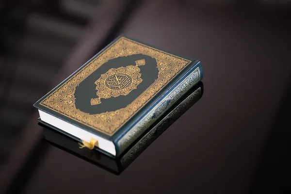 Rusiyada Qurana hörmətsizlik edən şəxs müsəlmanlardan üzr istəyib